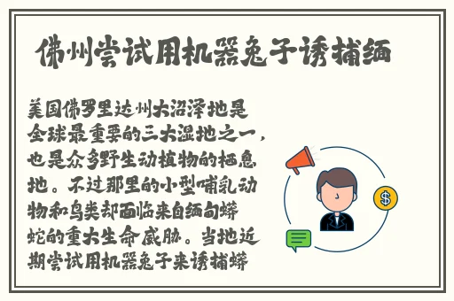 英语课代表趴下让我C